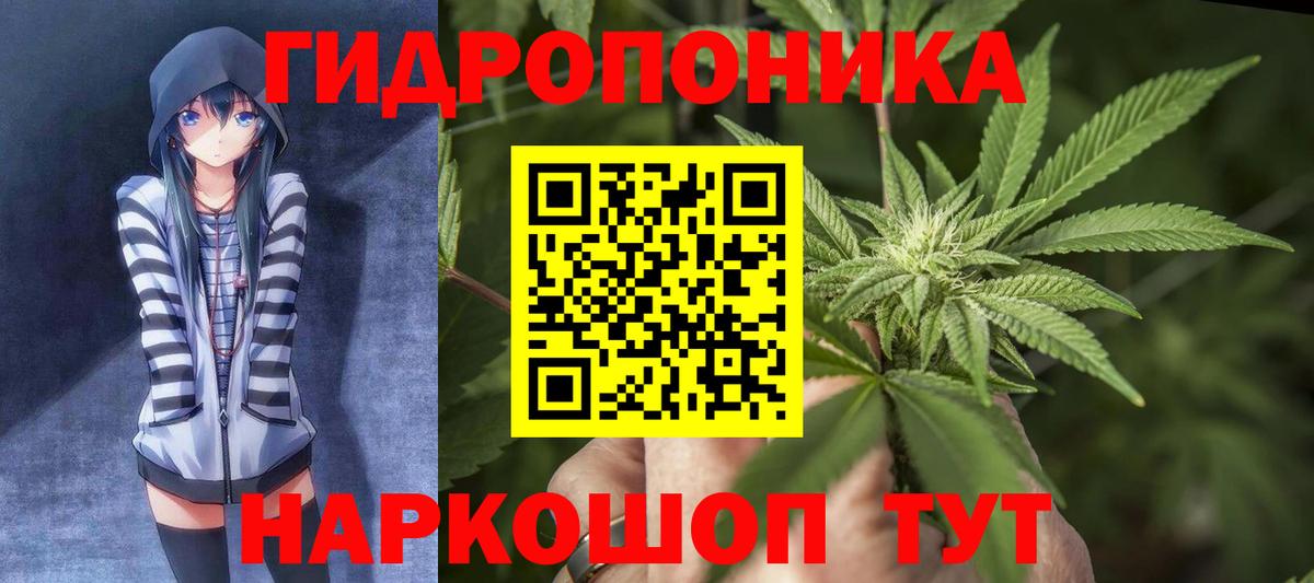 Конопля Amnesia  МАРИХУАНА планчик  Бошки марихуана OG Kush  Горячий Ключ 